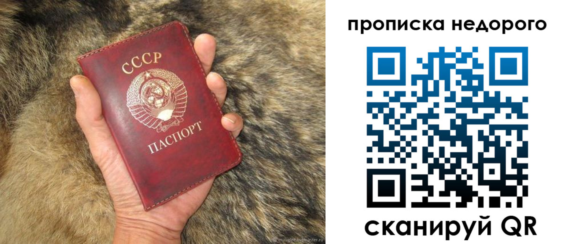 прописка для школы в Белокурихе